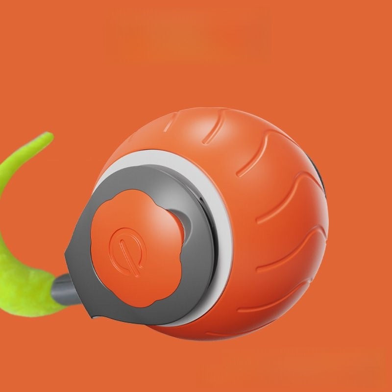 jouet électrique pour chat