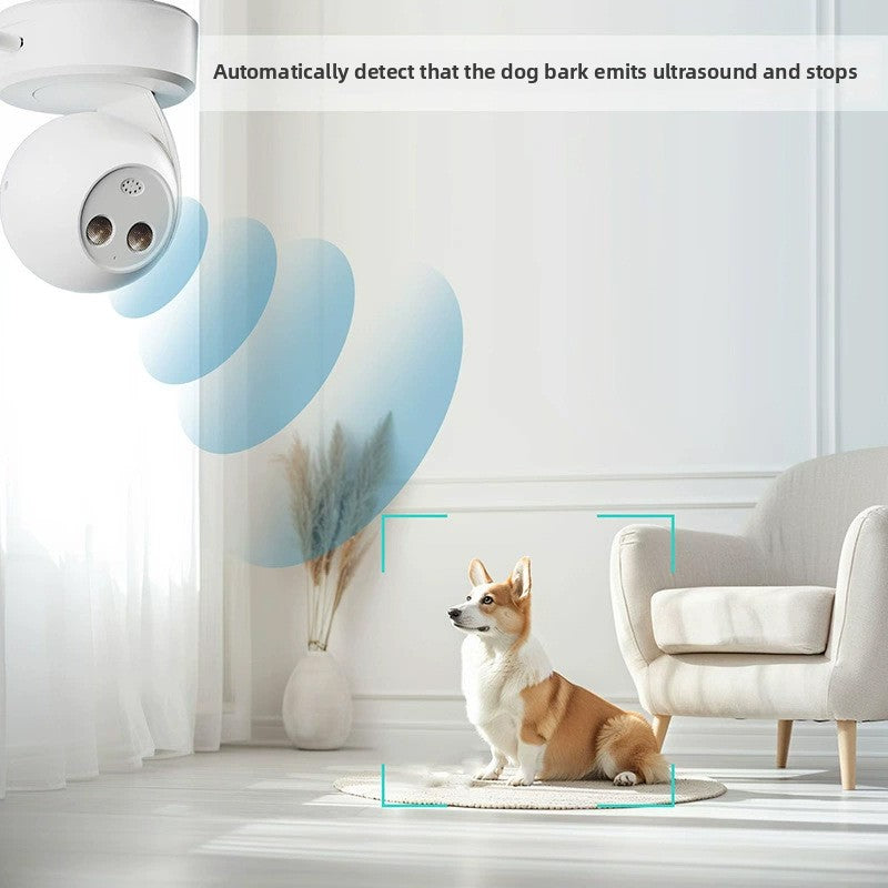 dispositifs anti-aboiements à ultrasons 