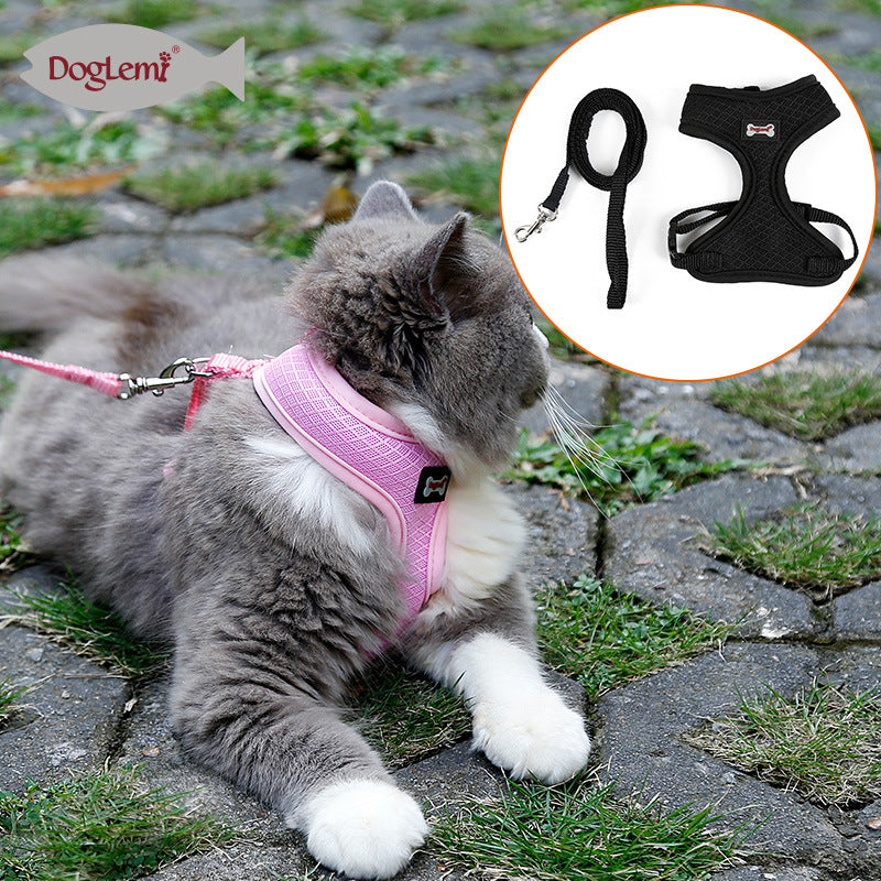 Cat vest leash