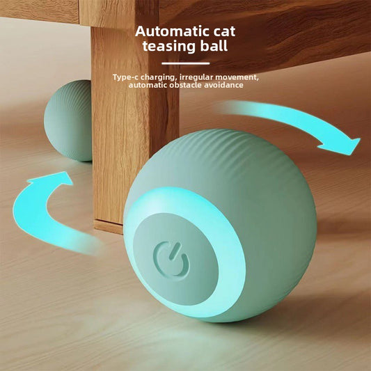 jouet électrique pour chat 