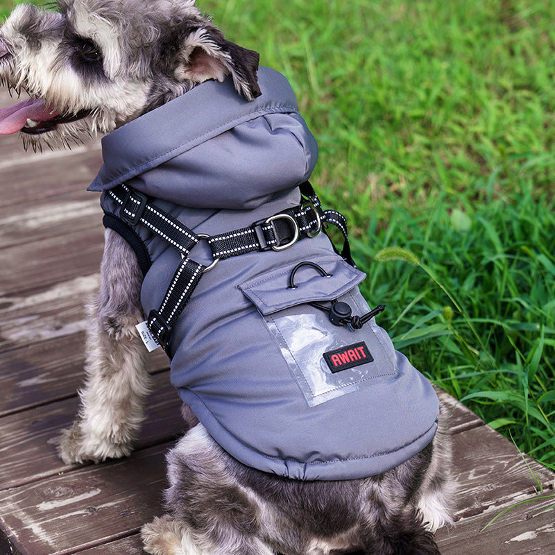 vêtements pour animaux 