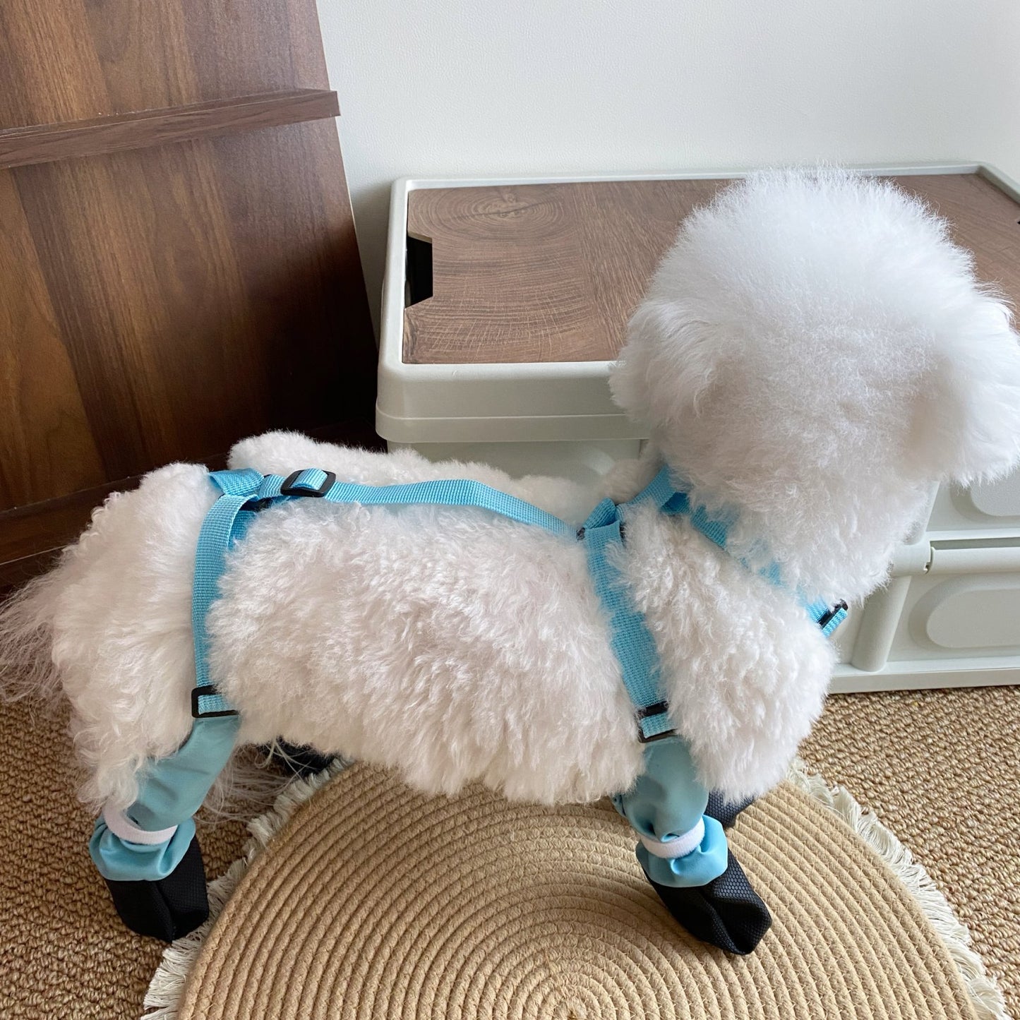 Chaussures imperméables antidérapantes d'extérieur pour animaux de compagnie 