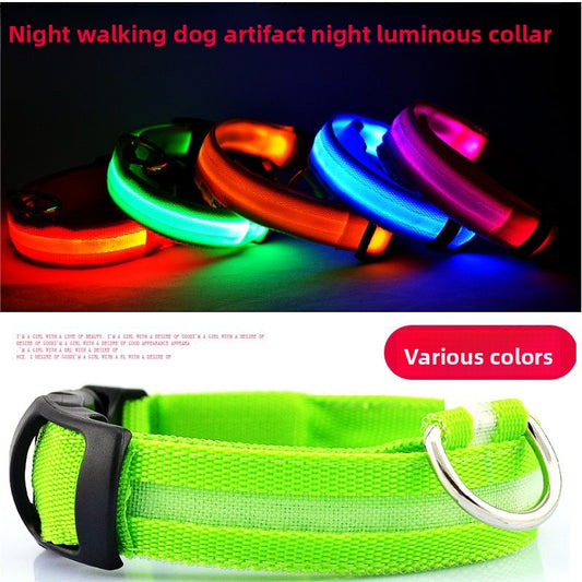 Pet led collar