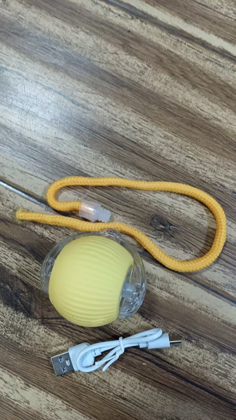 jouet électrique pour chat 