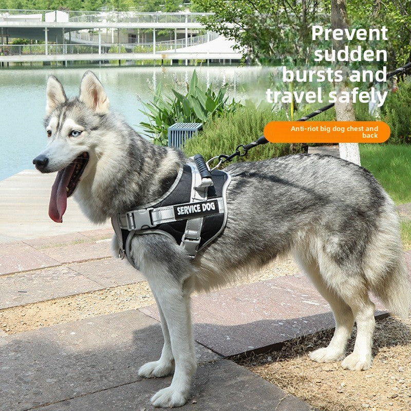 Laisse pour chien - corde de promenade rétractable 