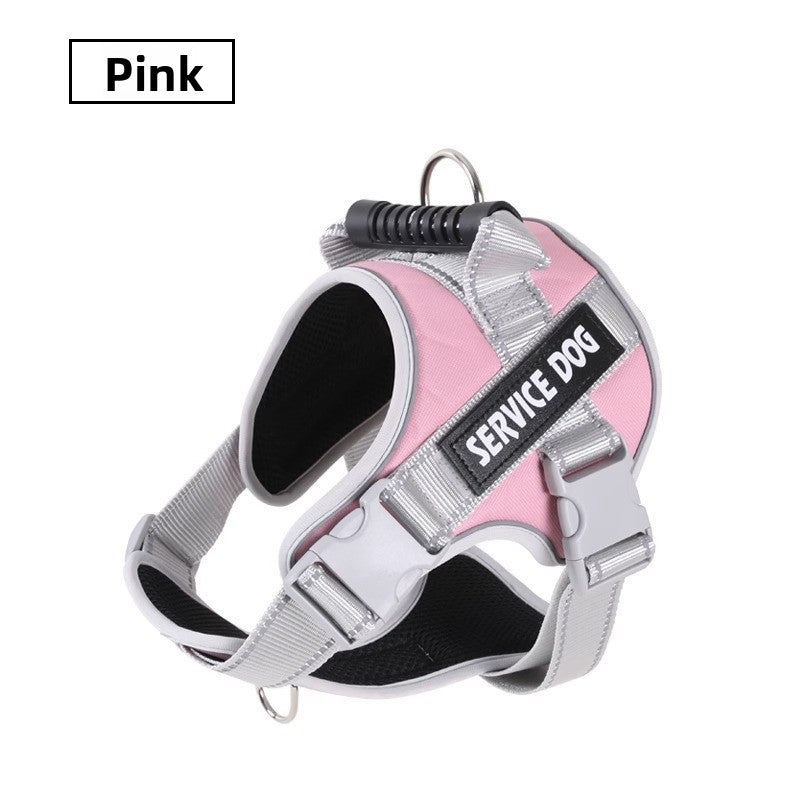 Laisse pour chien - corde de promenade rétractable 