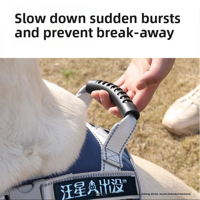 Laisse pour chien - corde de promenade rétractable 