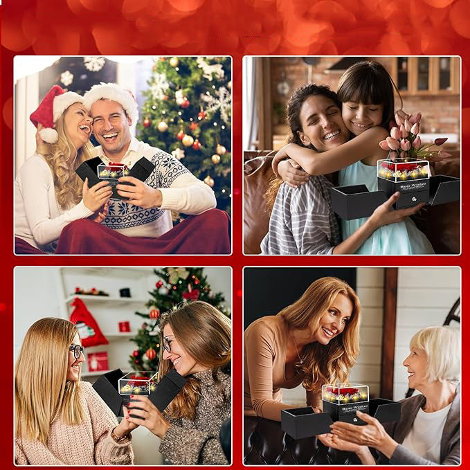 Boîte à fleurs stabilisées 