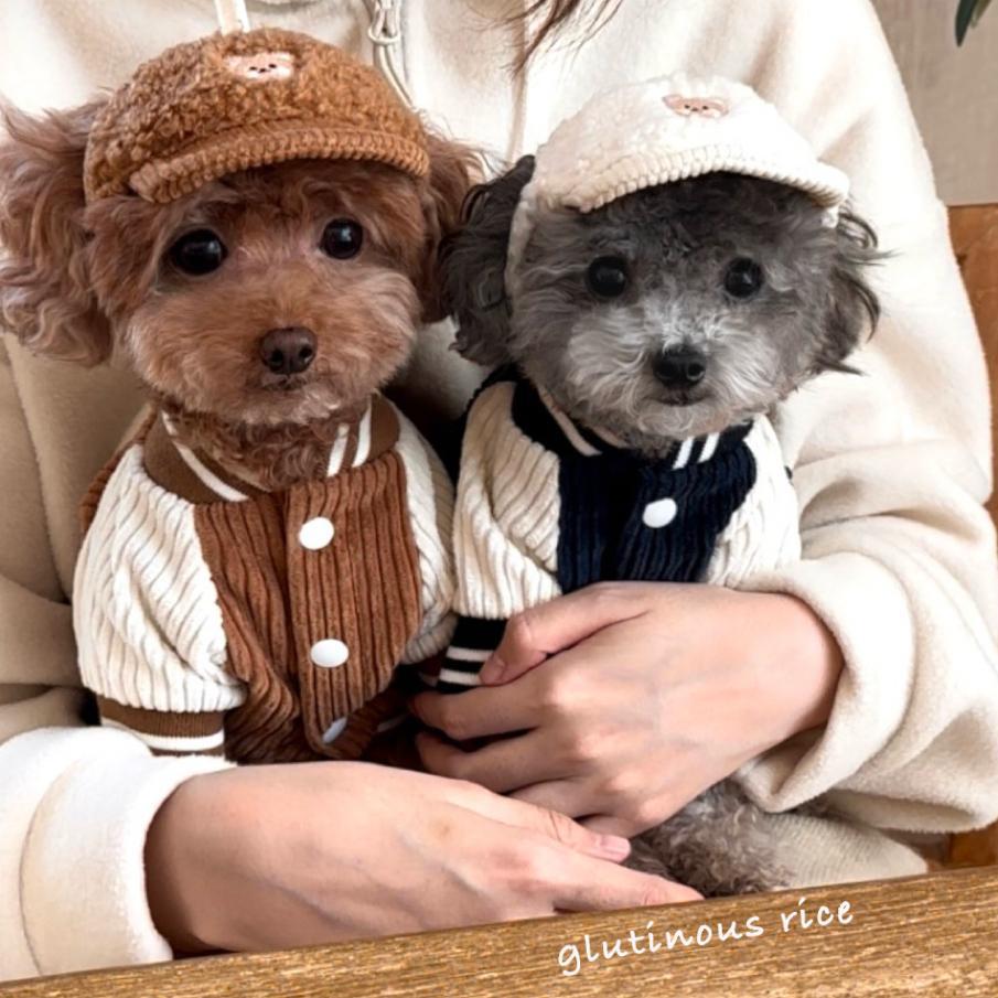 Veste pour animaux de compagnie 