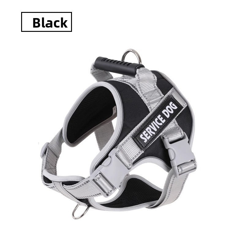 Laisse pour chien - corde de promenade rétractable 