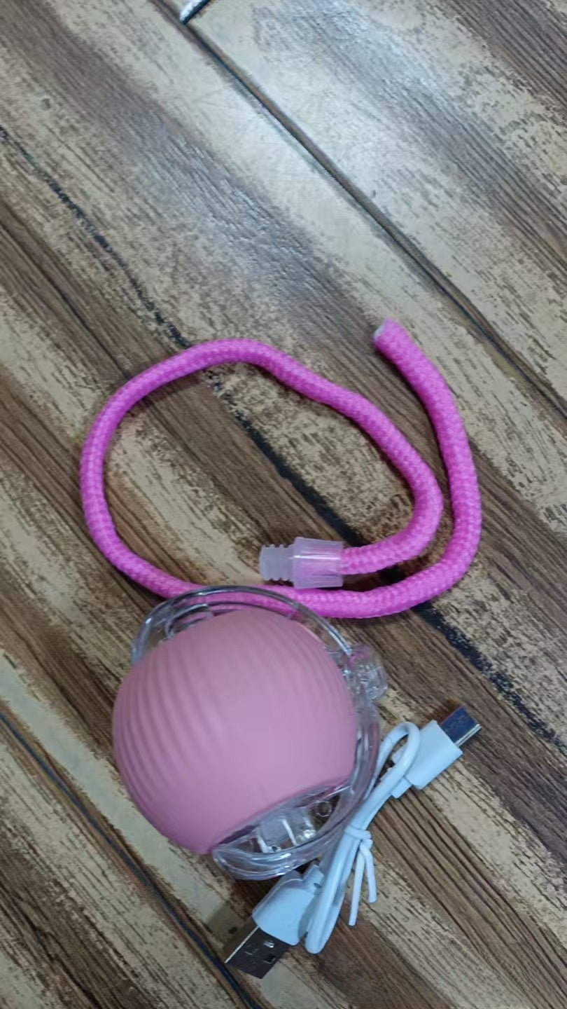 jouet électrique pour chat 