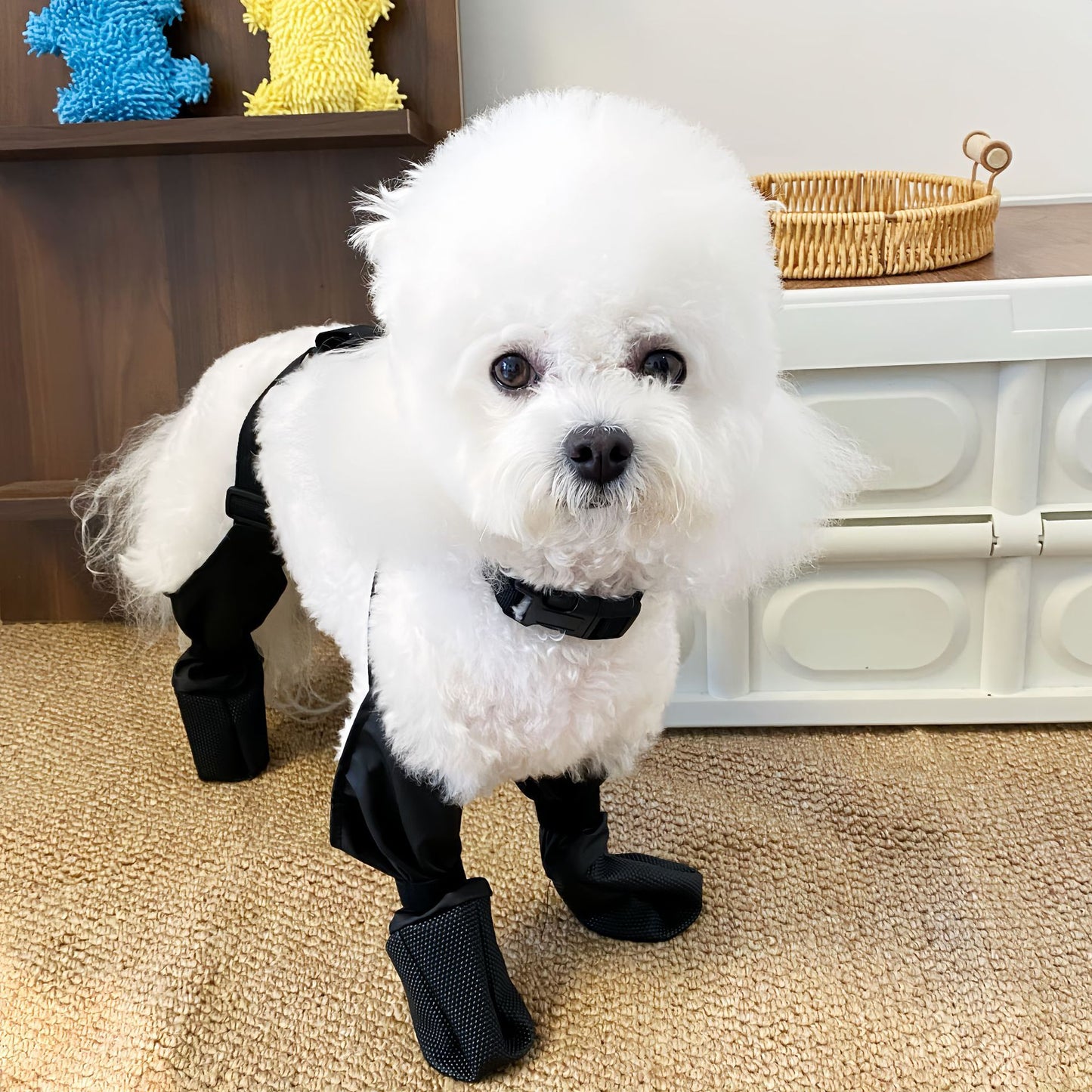 Chaussures imperméables antidérapantes d'extérieur pour animaux de compagnie 