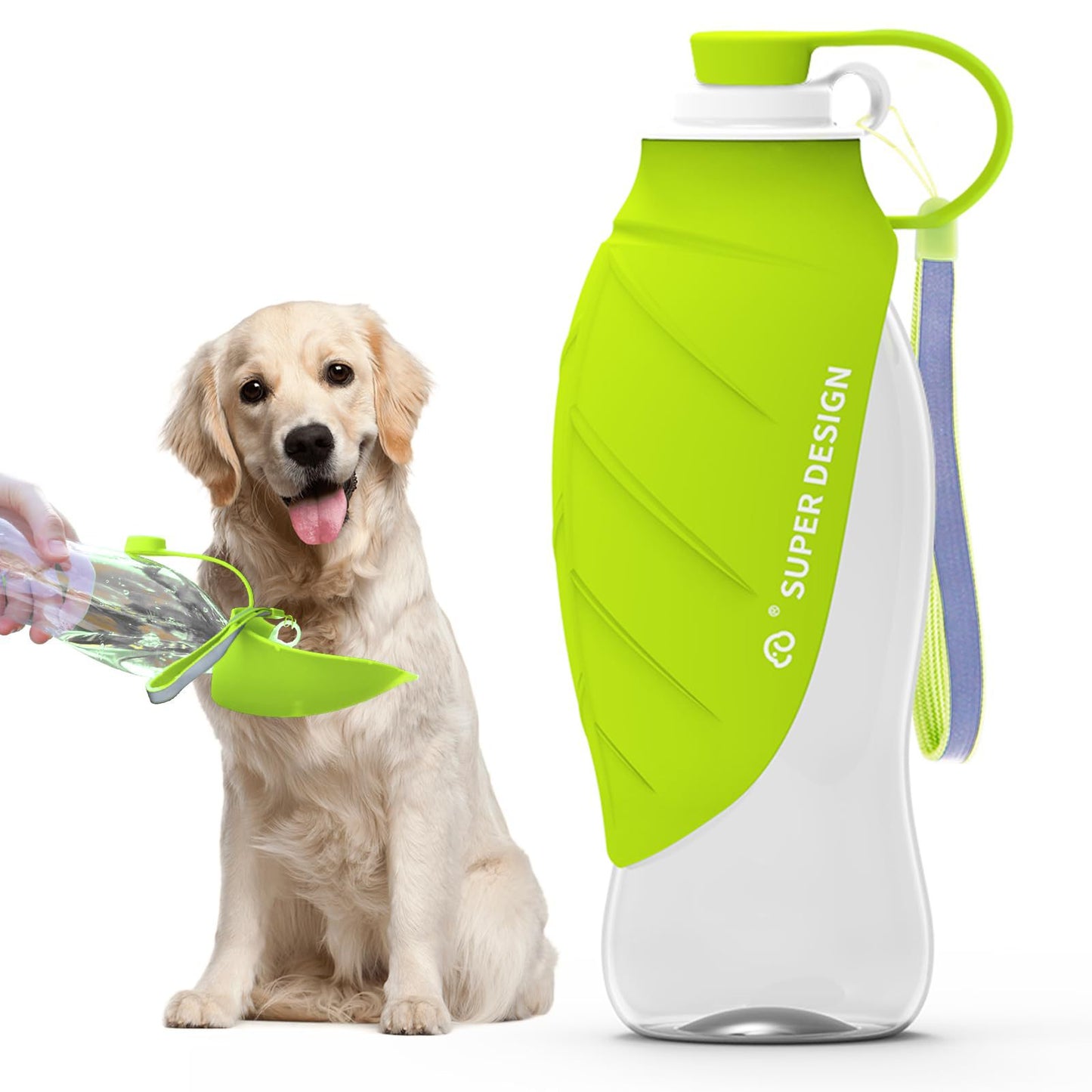 Bouteille d'eau portable pour animaux de compagnie en extérieur 