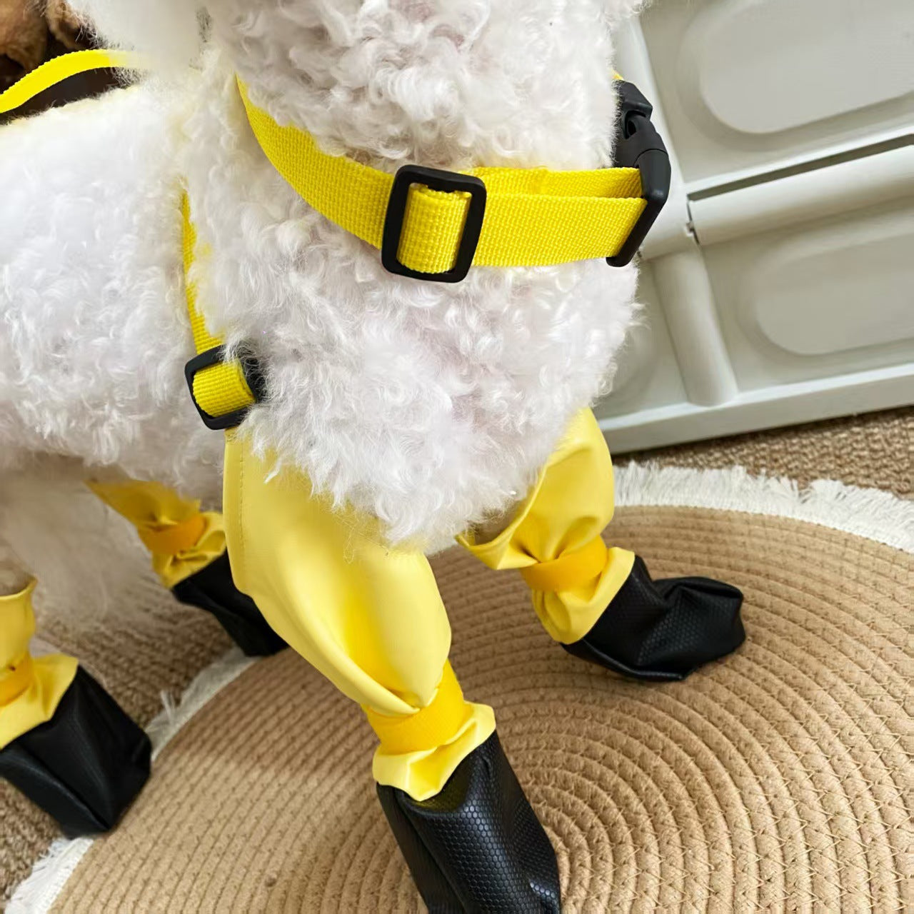 Chaussures imperméables antidérapantes d'extérieur pour animaux de compagnie 