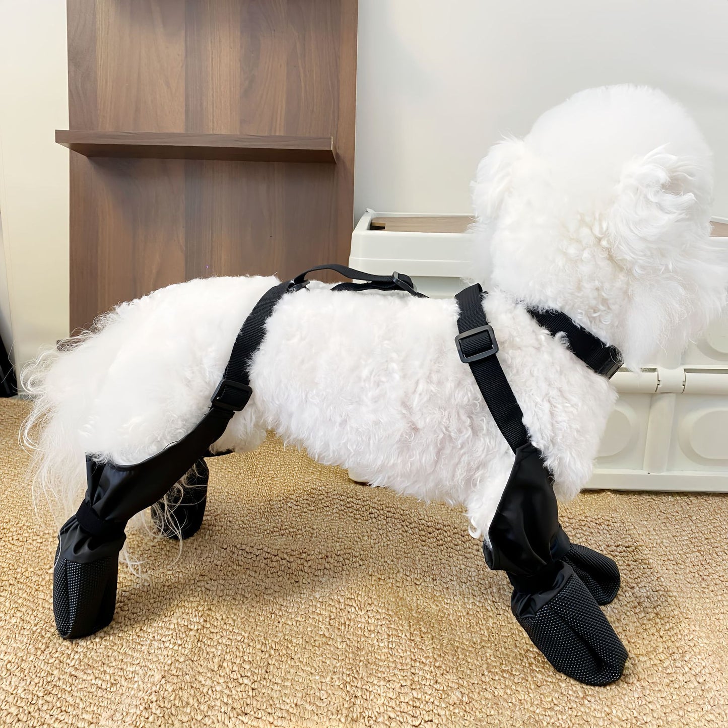 Chaussures imperméables antidérapantes d'extérieur pour animaux de compagnie 