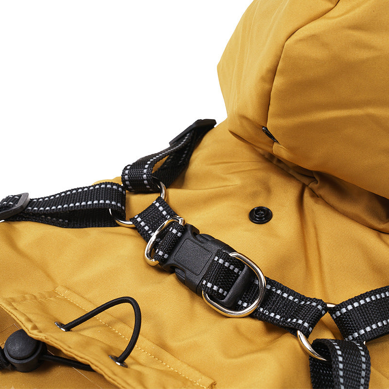 vêtements pour animaux 