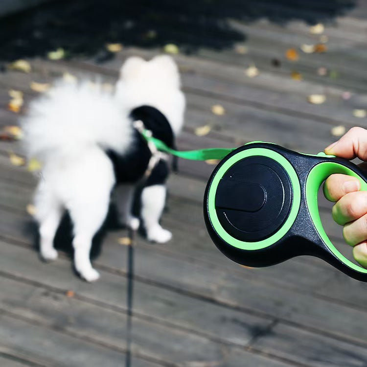 Laisse rétractable automatique pour animaux de compagnie avec verrou 