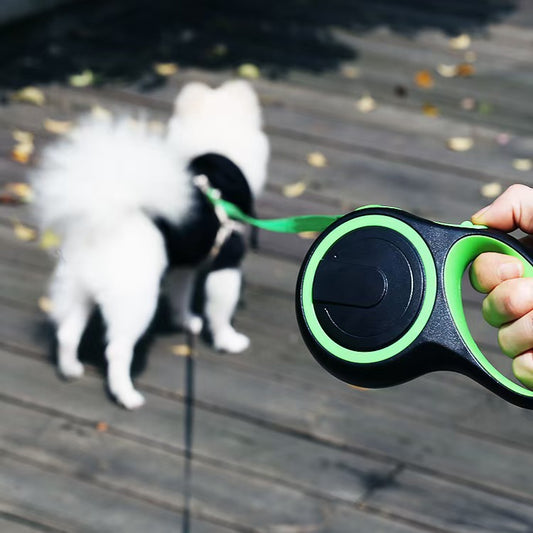 Laisse rétractable automatique pour animaux de compagnie avec verrou 