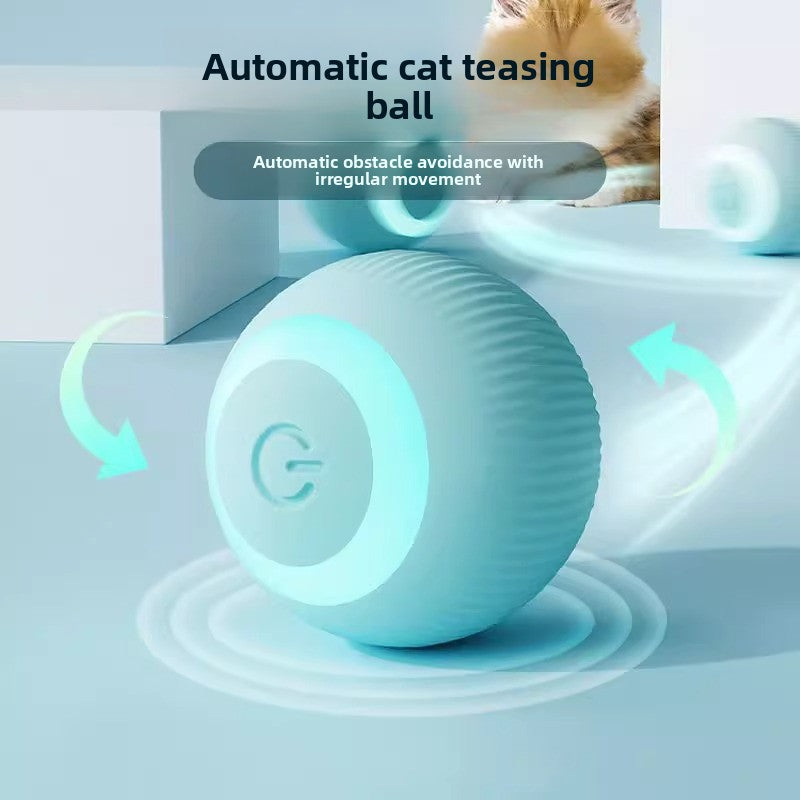 jouet électrique pour chat 