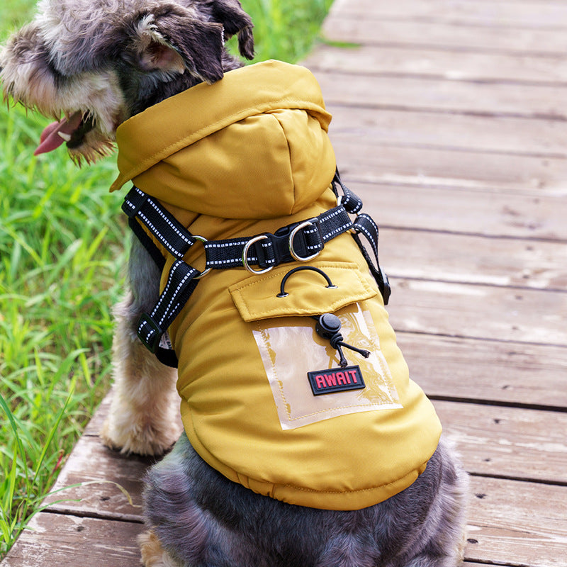 vêtements pour animaux 