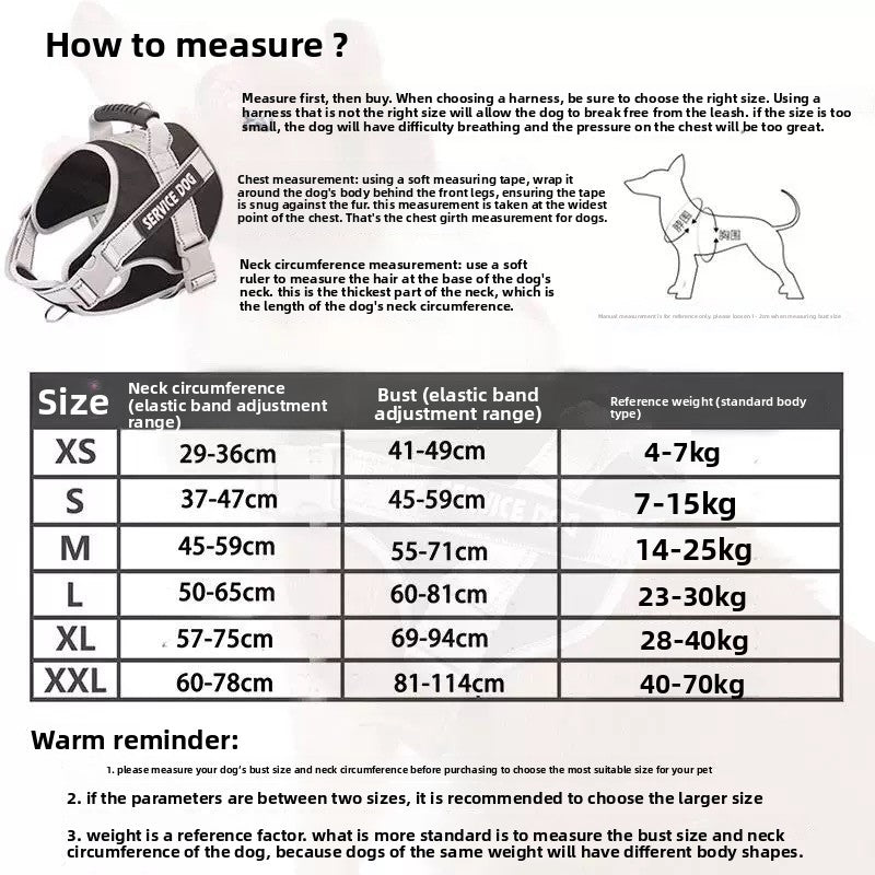 Laisse pour chien - corde de promenade rétractable 