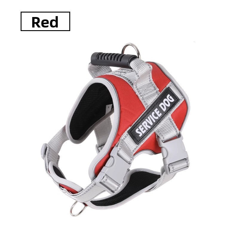 Laisse pour chien - corde de promenade rétractable 