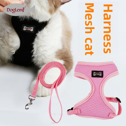 Cat vest leash