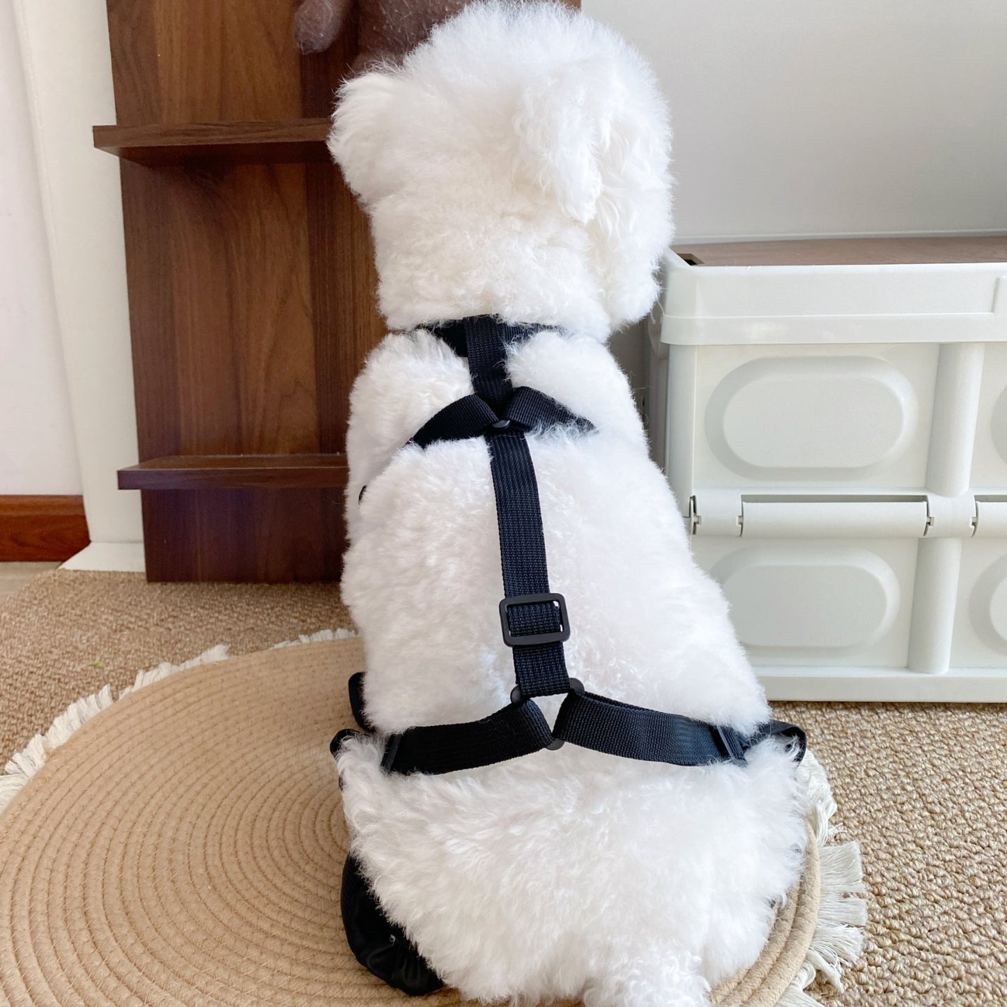 Chaussures imperméables antidérapantes d'extérieur pour animaux de compagnie 